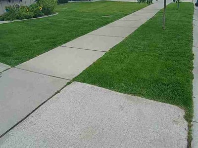 Lawn care service in Post Falls, 83854