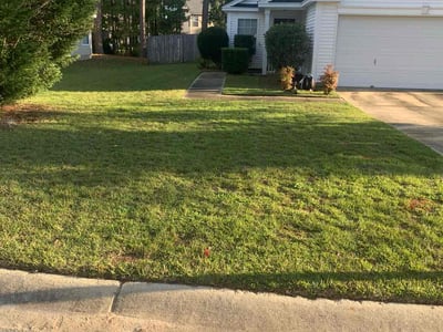 Lawn care service in Columbia, 29209