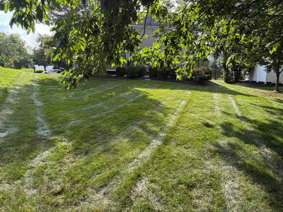 Lawn care service in Mason, 45040