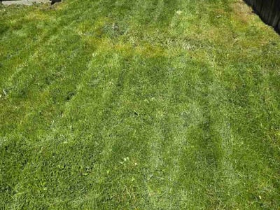 Lawn care service in Meridian, 83646