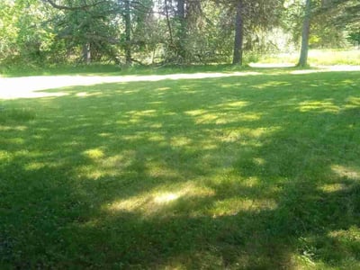 Lawn care service in Duluth, 55808