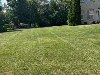 Lawn care service in Liberty Township, 45044