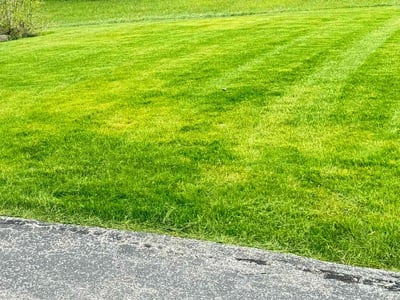 Lawn care service in Franklin, 53132