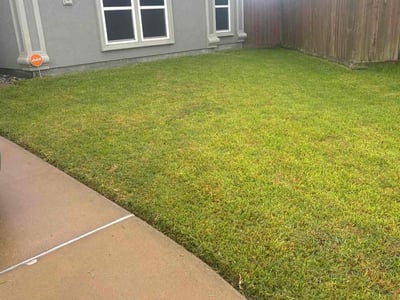 Lawn care service in Corpus Christi, 78414