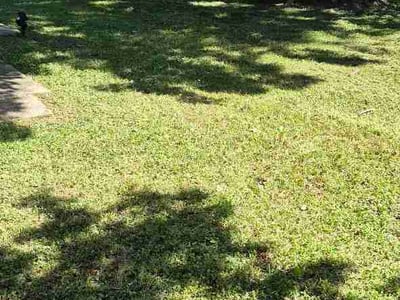 Lawn care service in Madison, 35758