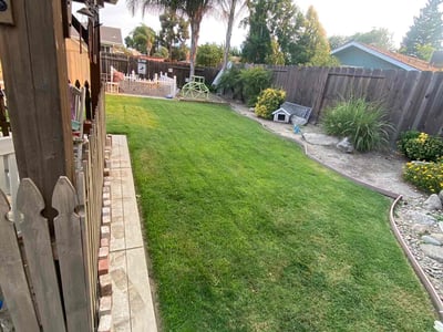 Lawn care service in Merced, 95340