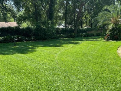 Lawn care service in Jacksonville, 32256