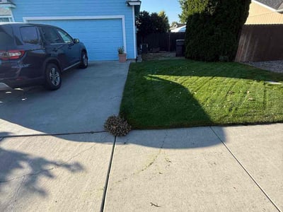 Lawn care service in Kennewick, 99336