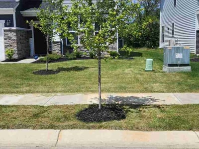 Lawn care service in Indianapolis, 46259
