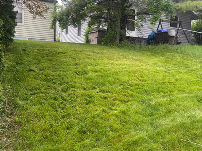 Lawn care service in Dayton, 45417