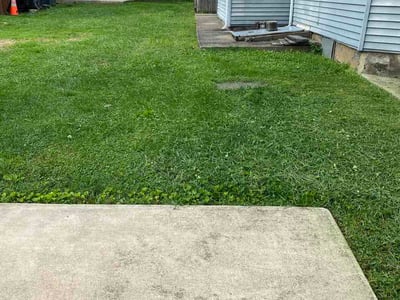 Lawn care service in Easton, 18042