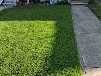 Lawn care service in Baltimore, 21229