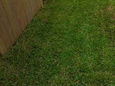 Lawn care service in Beasley, 77417