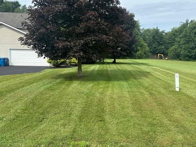 Lawn care service in Akron, 44312