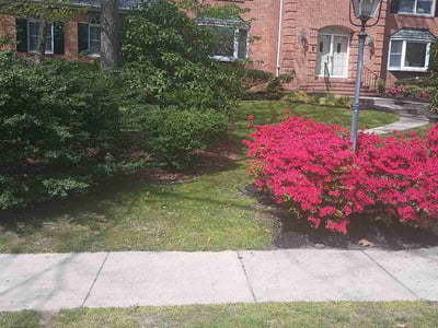 Lawn care service in Voorhees Township, 08043