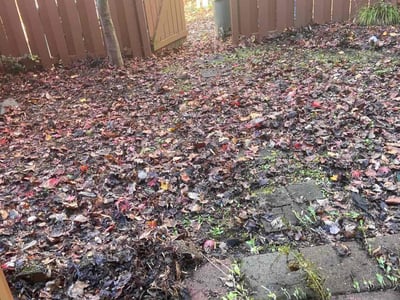 Lawn care service in , 