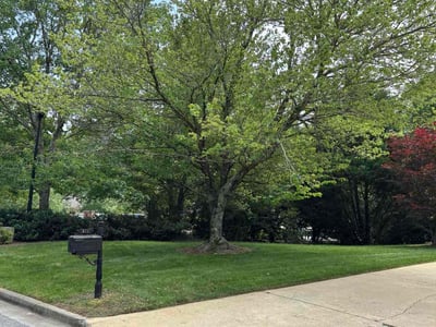 Lawn care service in Alpharetta, 30004