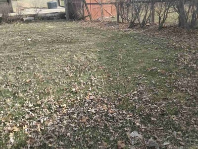 Lawn care service in , 