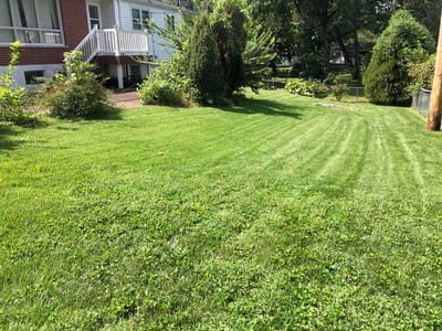 Lawn care service in St. Louis, 63135