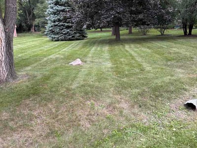Lawn care service in Brookfield, 53005