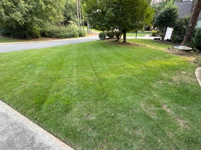 Lawn care service in Charlotte, 28270