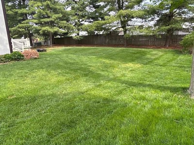 Lawn care service in Powell, 43065