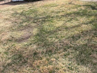 Lawn care service in St. Louis, 63116