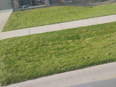 Lawn care service in Hayden, 83835