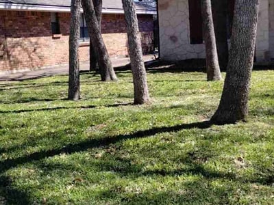 Lawn care service in Arlington, 76006