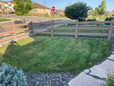 Lawn care service in Colorado Springs, 80924