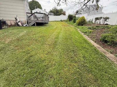 Lawn care service in Cherry Hill Township, 08034