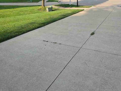 Lawn care service in Willoughby, 44094