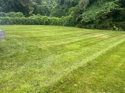 Lawn care service in Cheshire, 06410