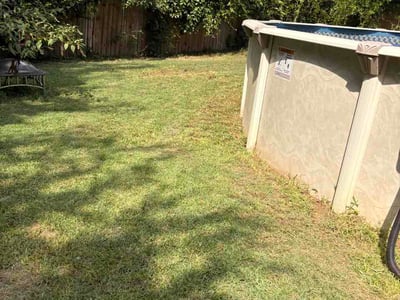 Lawn care service in Oxford, 36203