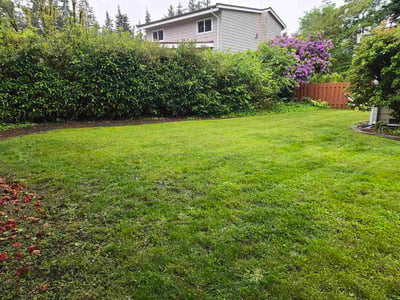 Lawn care service in Edmonds, 98020