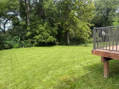 Lawn care service in Clive, 50325