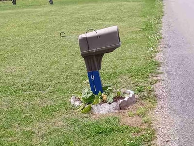 Lawn care service in Maryville, 37801