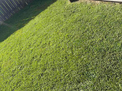 Lawn care service in Valdosta, 31605