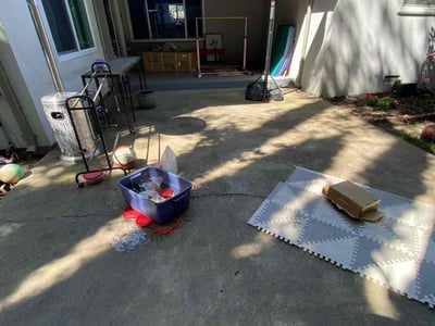 Lawn care service in Sacramento, 95819