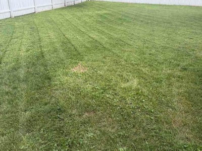 Lawn care service in Janesville, 53548