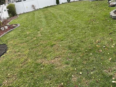 Lawn care service in Bowie, 20721