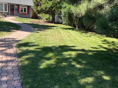 Lawn care service in Denver, 80210