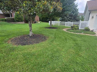 Lawn care service in Concord, 28027