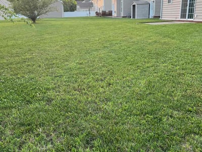 Lawn care service in Hampton, 23669