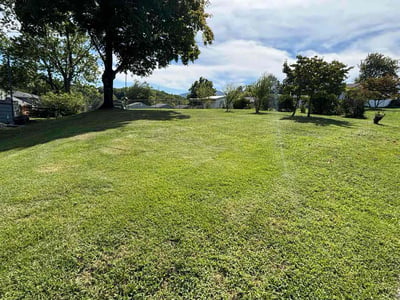 Lawn care service in Cave Spring, 24018