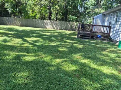 Lawn care service in Chester, 23831