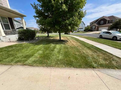 Lawn care service in Maple Grove, 55311