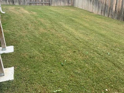 Lawn care service in Andice, 78628