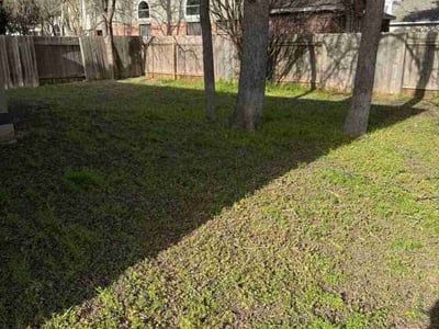 Lawn care service in Cedar Park, 78613