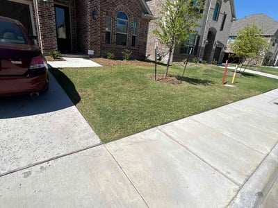 Lawn care service in Dallas, 75252